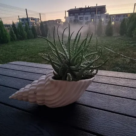 公寓 амира за гости - Amira Guest 布尔加斯