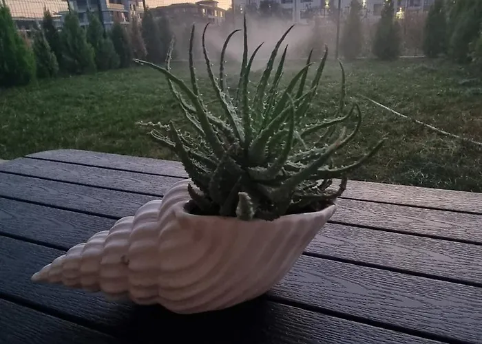 Apartament амира за гости - Amira Guest Burgas