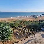 амира за гости - Amira