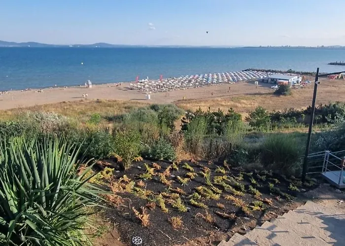 амира за гости - Amira Guest